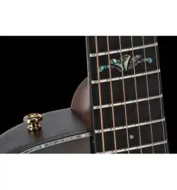 Ovation Celebrity Elite 2025 LTD