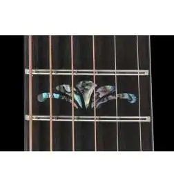 Ovation Celebrity Elite 2025 LTD