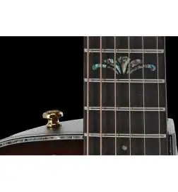 Ovation Celebrity Elite 2025 LTD