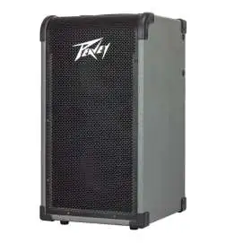 Peavey MAX 208