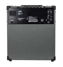Peavey MAX 300