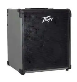 Peavey MAX 300