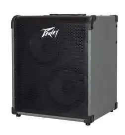 Peavey MAX 300