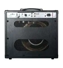 Peavey invective.112 Combo