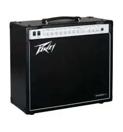 Peavey invective.112 Combo