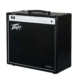 Peavey invective.112 Combo