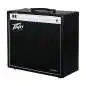 Peavey invective.112 Combo