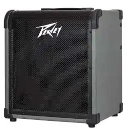 Peavey MAX 100