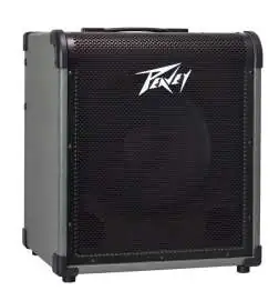 Peavey MAX 150