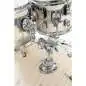 PDP Concept Maple CM5 Shell Set Twisted Ivory