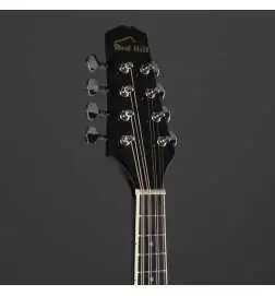 Red Hill A-Style Mandolin Black