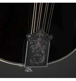 Red Hill A-Style Mandolin Black
