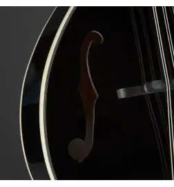Red Hill A-Style Mandolin Black