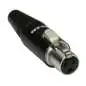 Rean Mini XLR-Buchse
