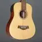 Red Hill Dreadnought Mini Red Hill Dreadnought Mini