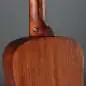 Red Hill Dreadnought Mini Natural Matt