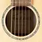 Red Hill Dreadnought Mini Red Hill Dreadnought Mini
