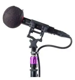 Rycote Baseball (24 25) Black