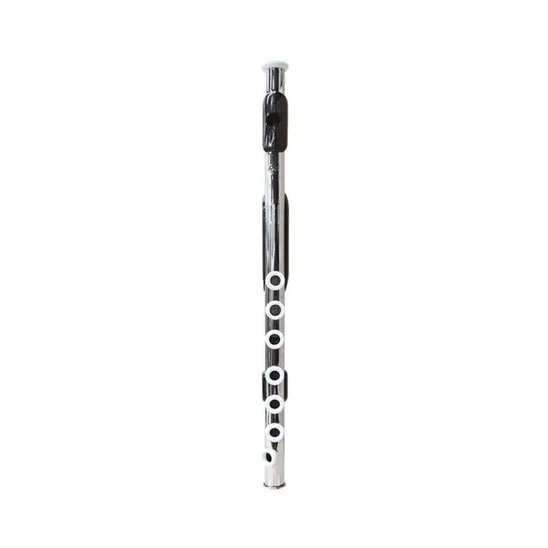 Sandner Soprano 171 Do Bémol Incl. Étui Noir