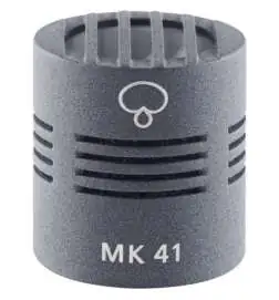 Schoeps Capsule microphonique MK 41g