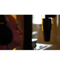 sE electronics X1S Studio Bundle