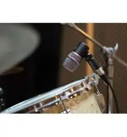 sE electronics V Beat