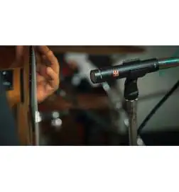 sE electronics SE8