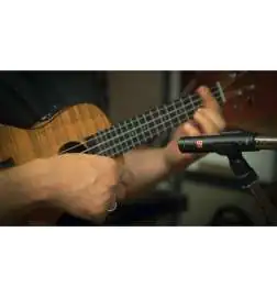 sE electronics SE8