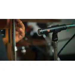 sE electronics SE8