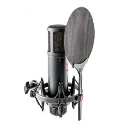 sE electronics sE2200 Condenser microphone