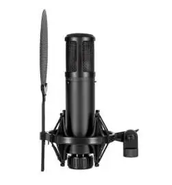 sE electronics sE2300 Condenser microphone