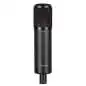 sE electronics sE2300 Condenser microphone