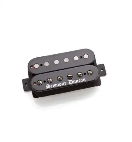 Seymour Duncan Black Winter Bridge Black