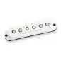 Seymour Duncan SSL-5 Custom Staggerood Strat