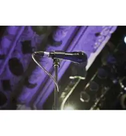 Shure Nexadyne 8 C
