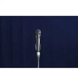 Shure Nexadyne 8 C