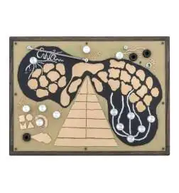 SOMA LABORATORY Enner Night Frog