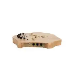SOMA LABORATORY Terra Light Synthesizer