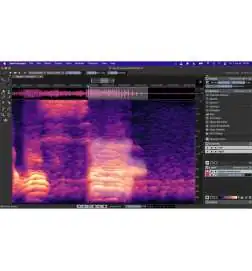 Steinberg SpectraLayers Elements 11 License Code