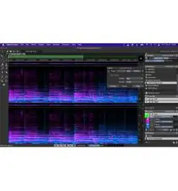 Steinberg SpectraLayers Elements 11 License Code