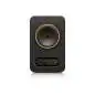 Tannoy Gold 5 monitor da studio attivi