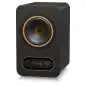 Tannoy Gold 5 enceinte de studio actives