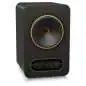 Tannoy Gold 8 monitor da studio attivi