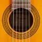 Takamine GC3CE NAT Natural