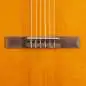 Takamine GC3CE NAT Natural