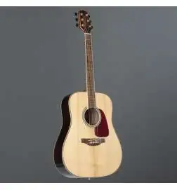 Takamine GD93N2 Natural Gloss