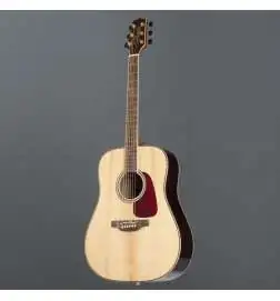 Takamine GD93N2 Natural Gloss