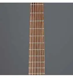 Takamine GC6CEN Natural Gloss
