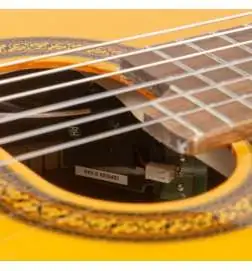 Takamine GC6CEN Natural Gloss