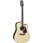 Takamine GD51CE Natural